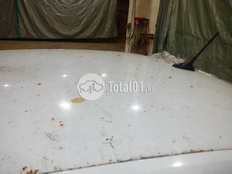 Фото Skoda Rapid 184