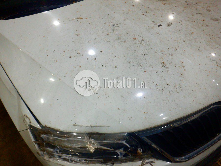 Фото Skoda Rapid 214