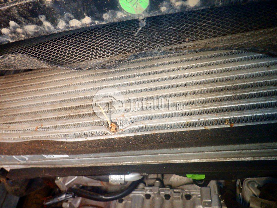 Фото Belgee X50 202