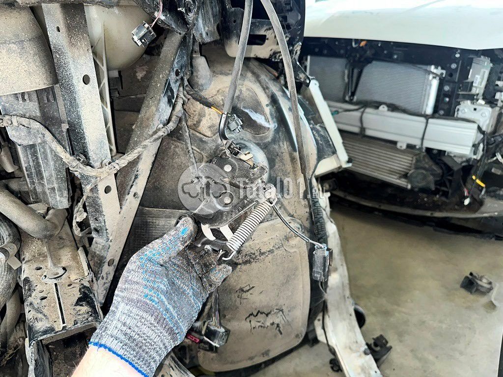 Фото BMW X5 532