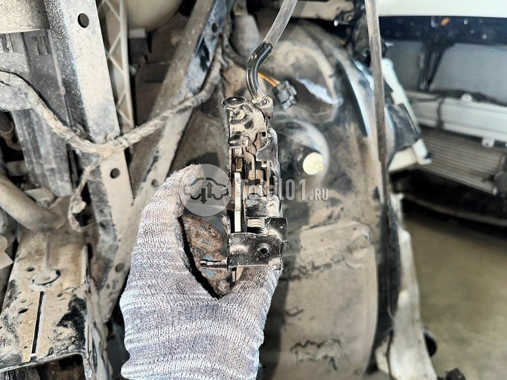 Фото BMW X5 536