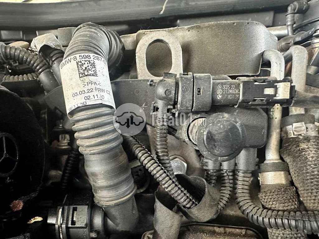 Фото BMW X5 556