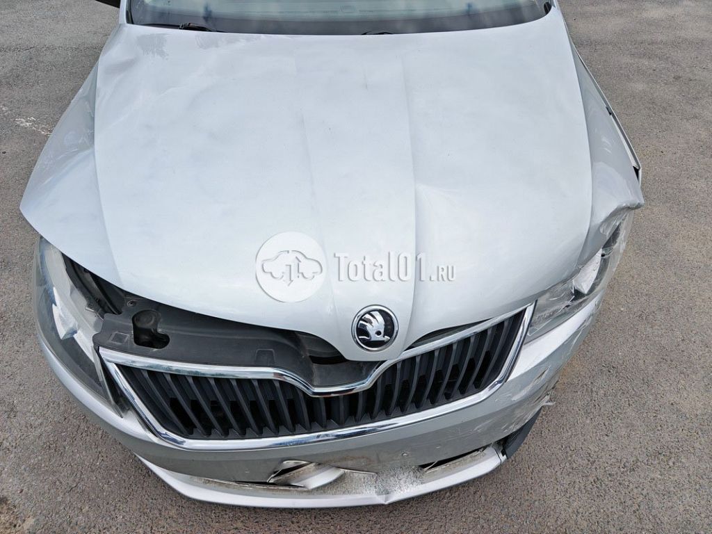 Фото Skoda Rapid 10