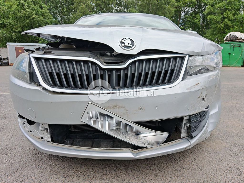 Фото Skoda Rapid 172