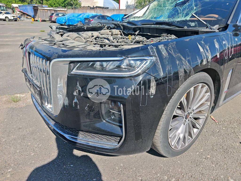 Фото Hongqi H9 12