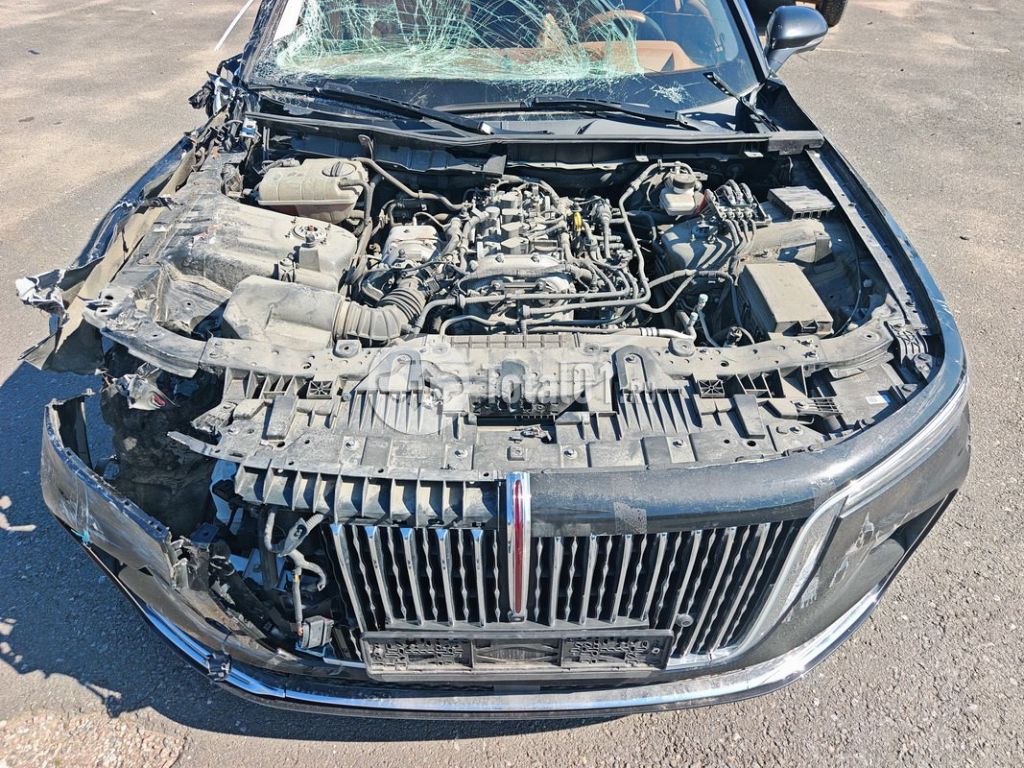 Фото Hongqi H9 14