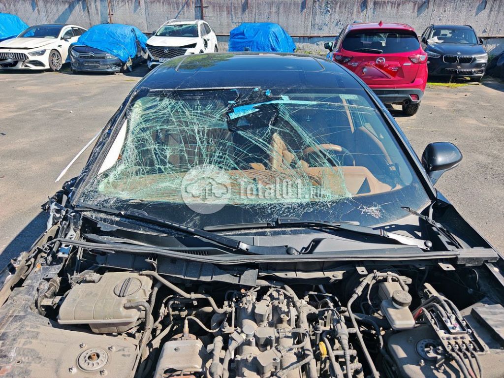 Фото Hongqi H9 16