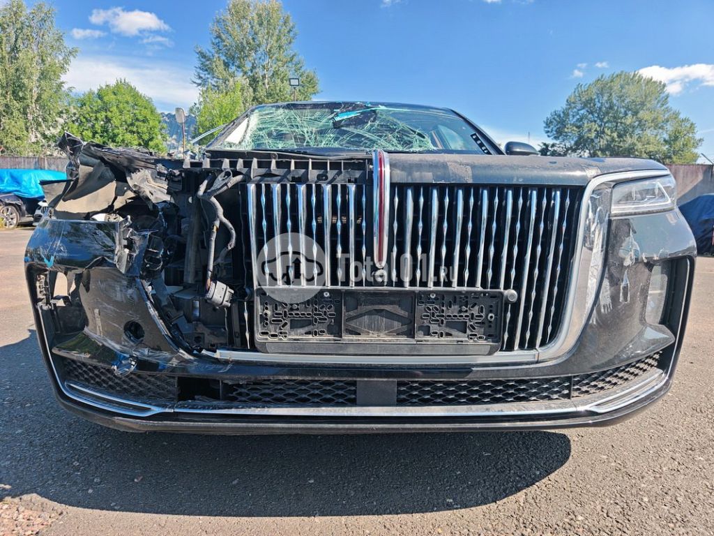 Фото Hongqi H9 182