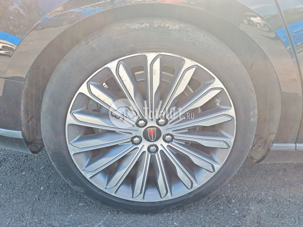 Фото Hongqi H9 188