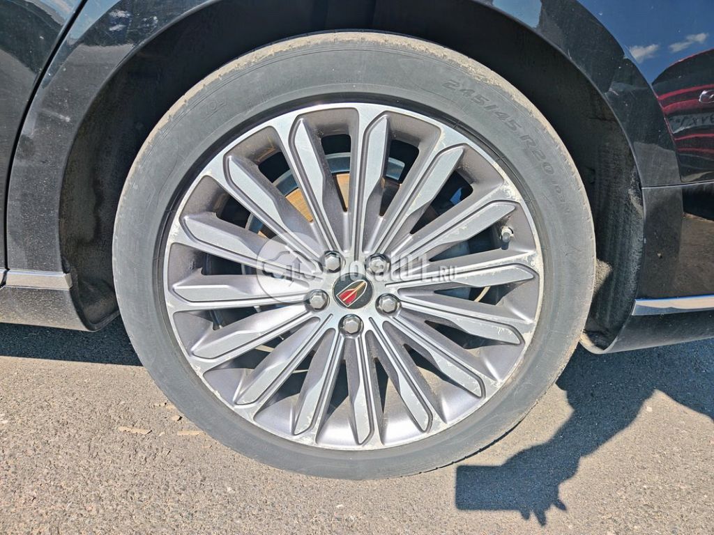Фото Hongqi H9 192