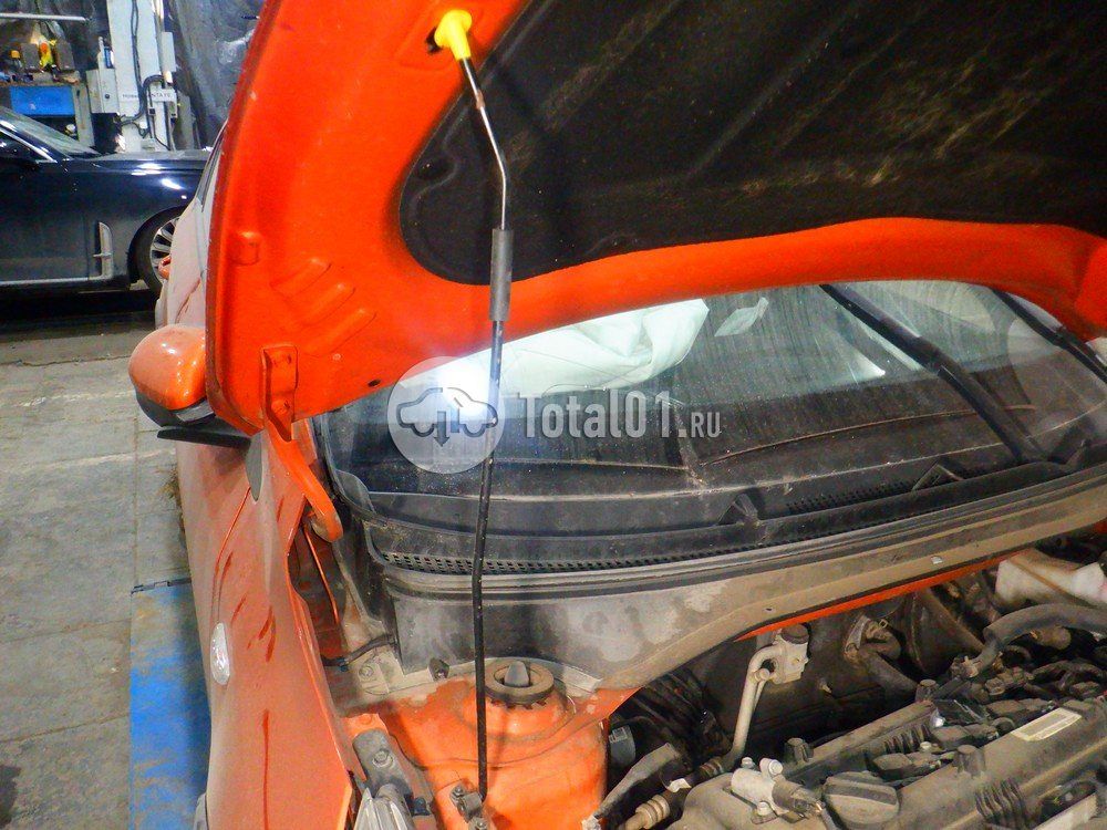 Фото KIA Rio X 230