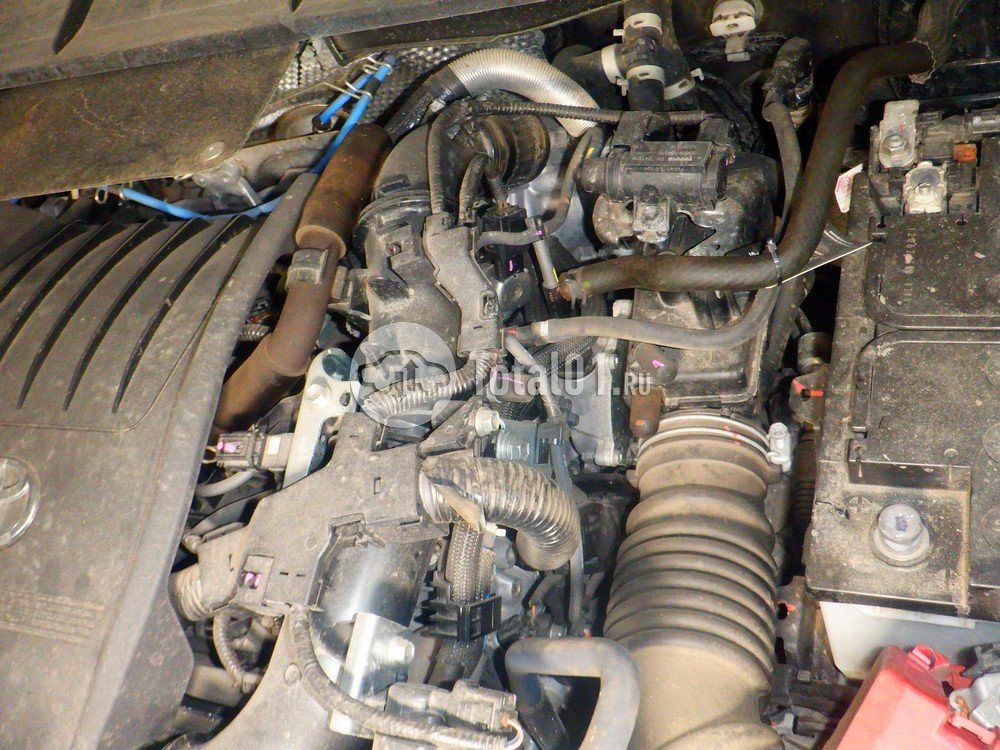 Фото Toyota Highlander 210