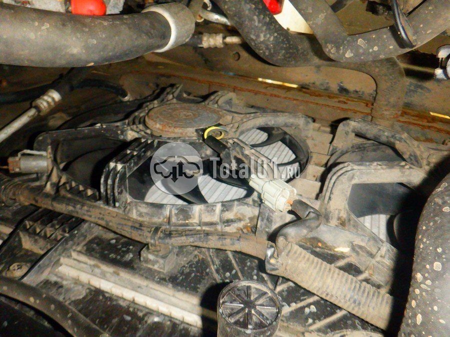 Фото Nissan X-Trail 234
