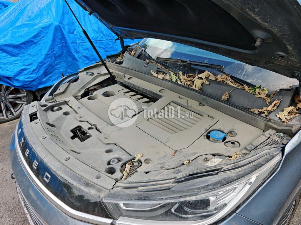 Фото EXEED TXL 88