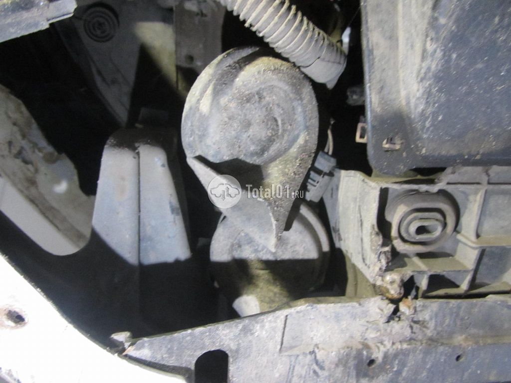 Фото Skoda Rapid 64