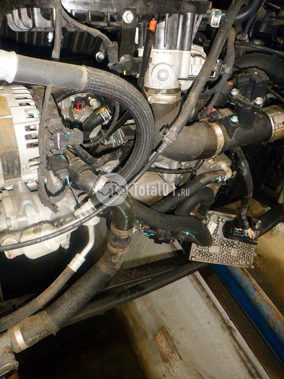 Фото Haval Jolion 196