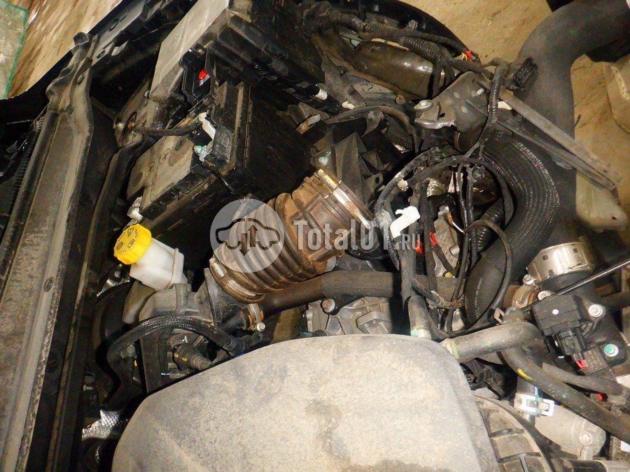 Фото Haval Jolion 198