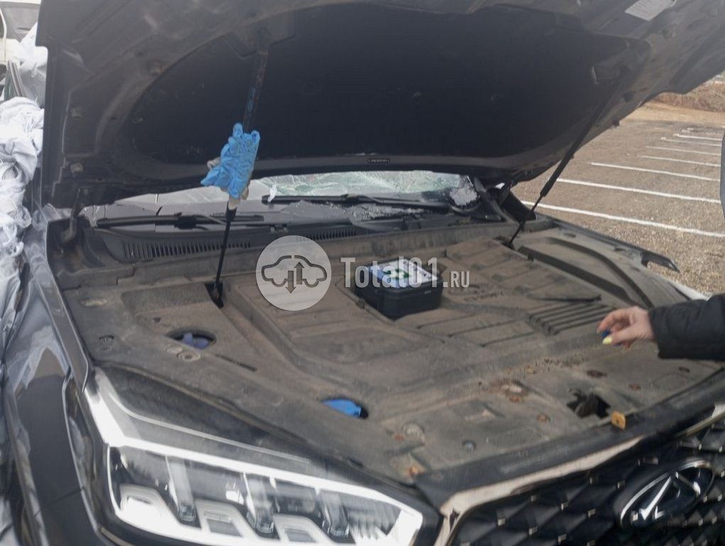 Фото Chery Tiggo 7 Pro Max 96