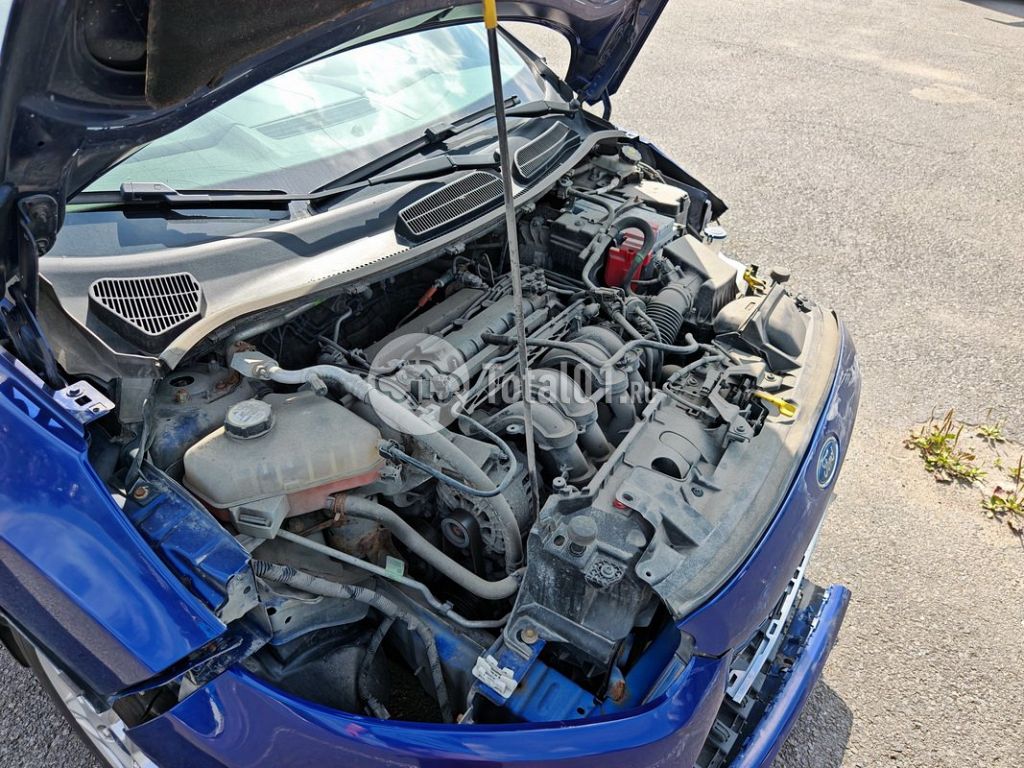 Фото Ford Fiesta 50
