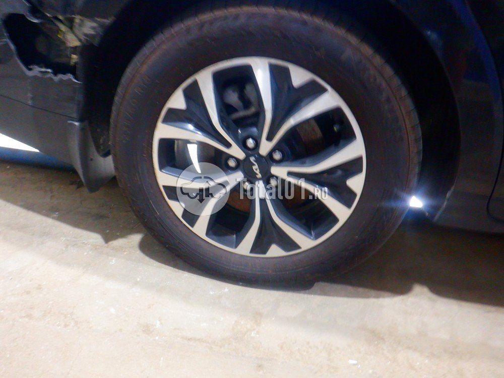 Фото KIA Carnival 174