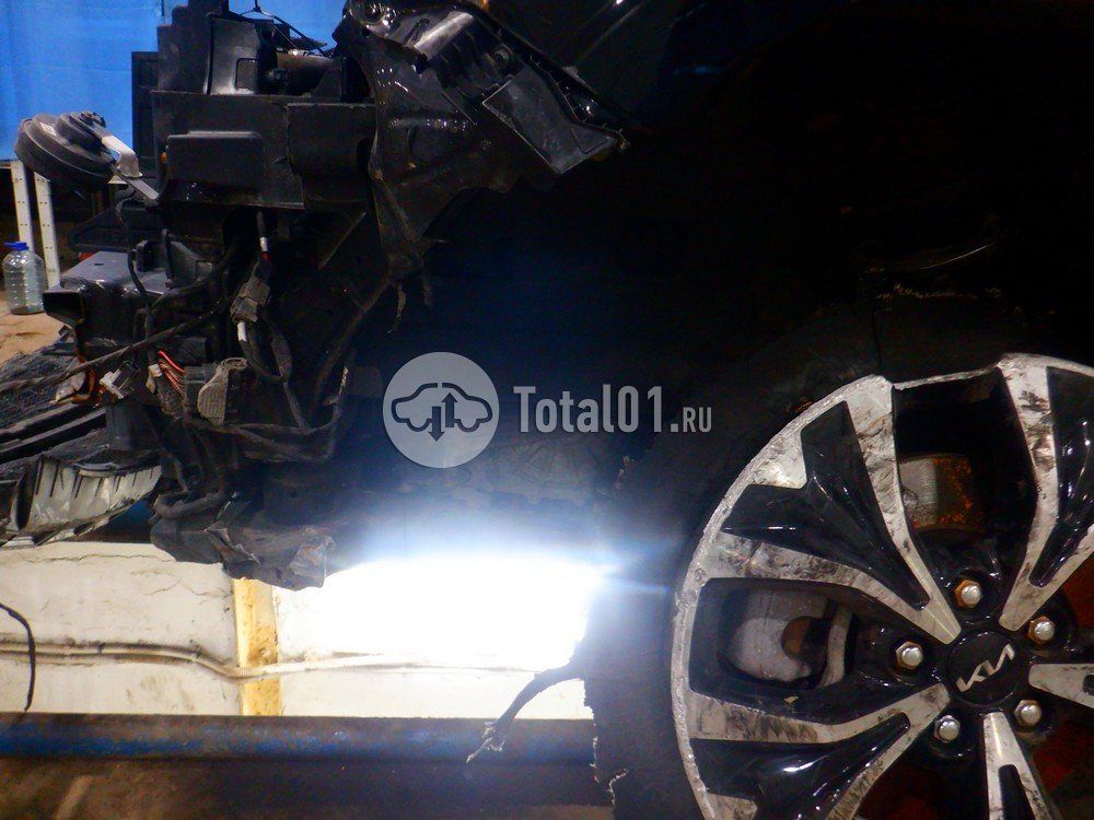 Фото KIA Carnival 234