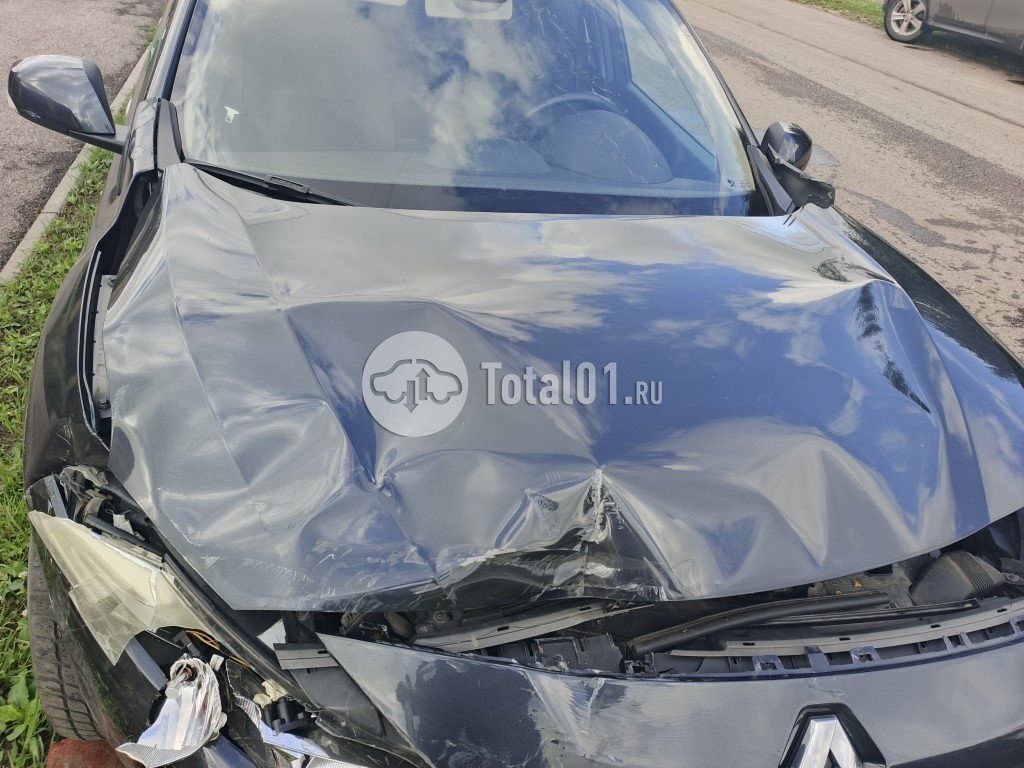 Фото Renault Fluence 10