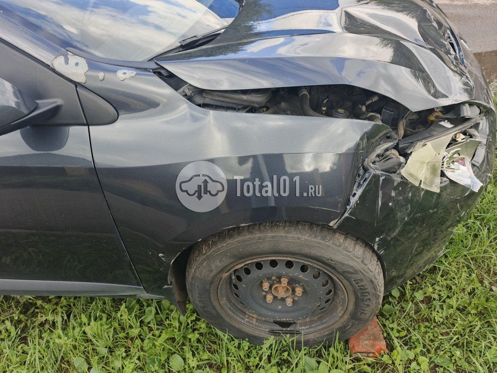 Фото Renault Fluence 14
