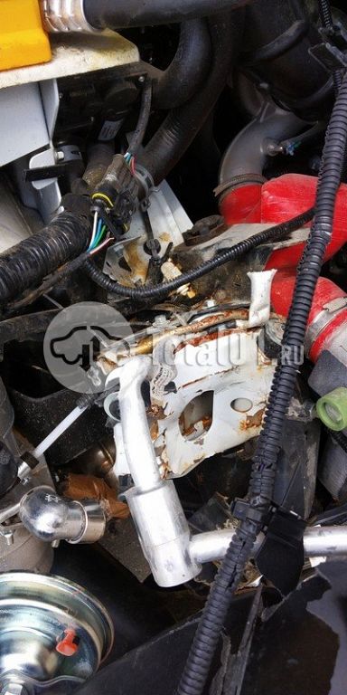 Фото ГАЗ Sobol NN 48