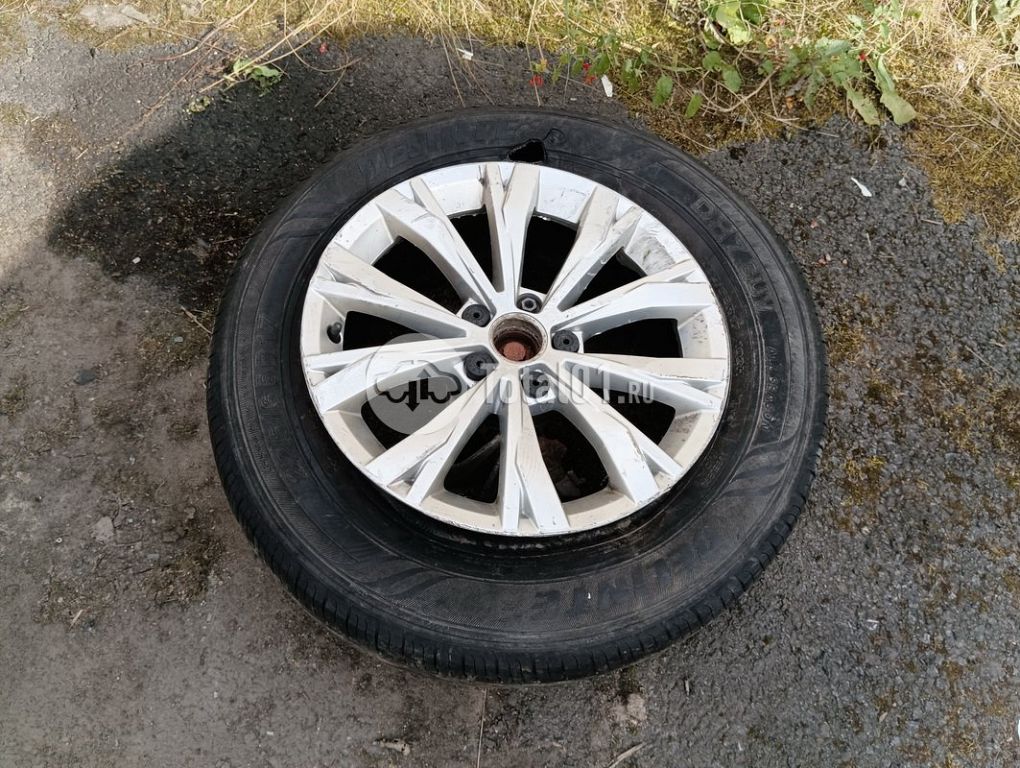 Фото Volkswagen Tiguan 202