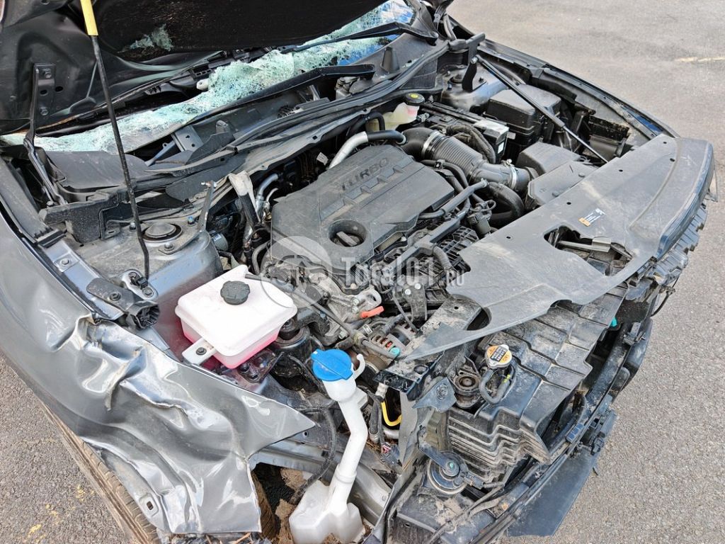 Фото KIA Sportage 62