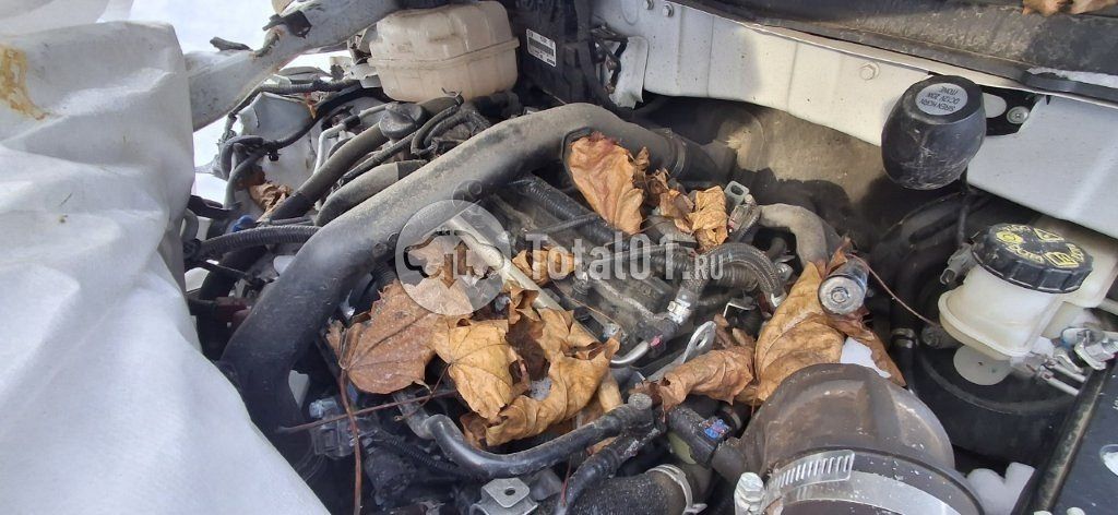 Фото BAIC X35 44