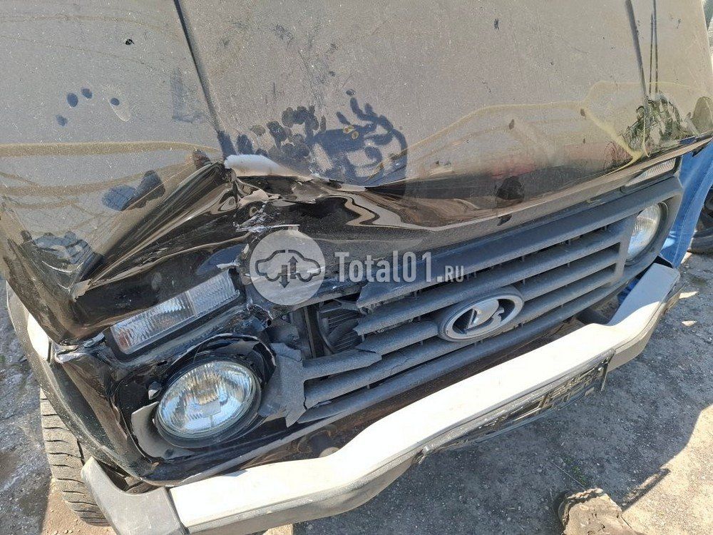 Фото ВАЗ (LADA) 2121 (4x4) 20