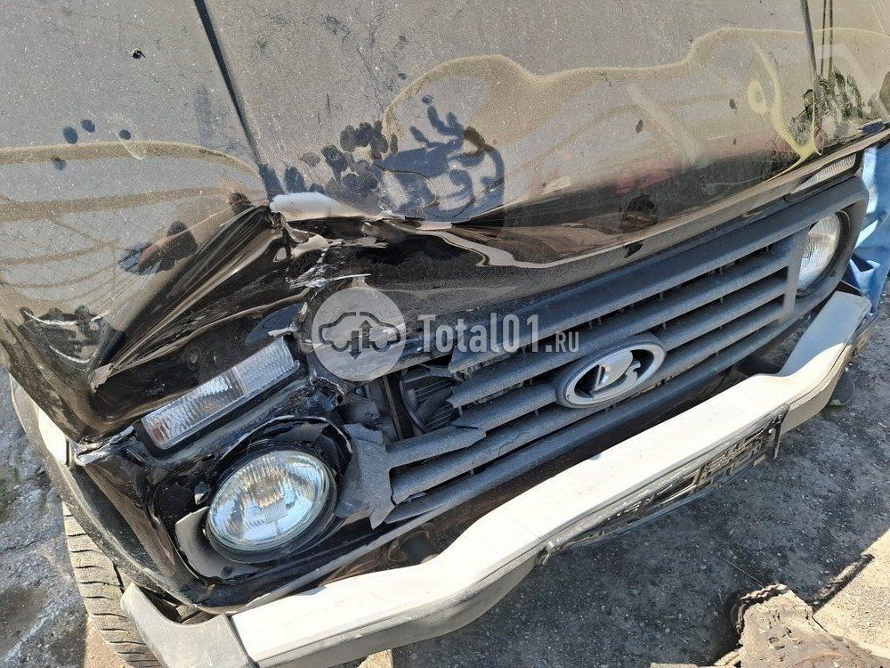 Фото ВАЗ (LADA) 2121 (4x4) 22
