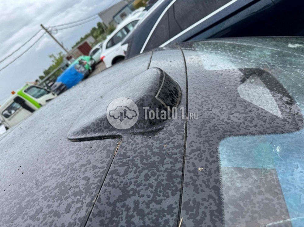 Фото Lixiang L9 4