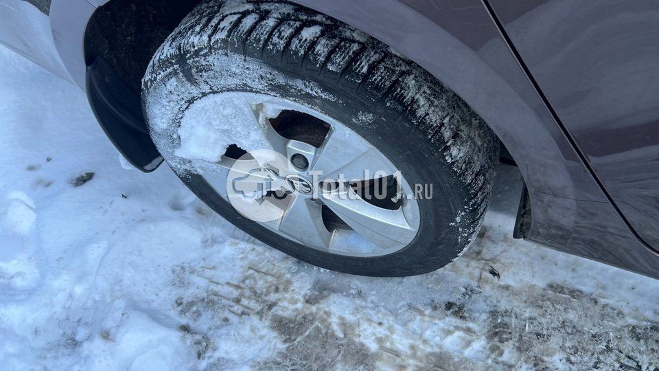 Фото Skoda Octavia 6