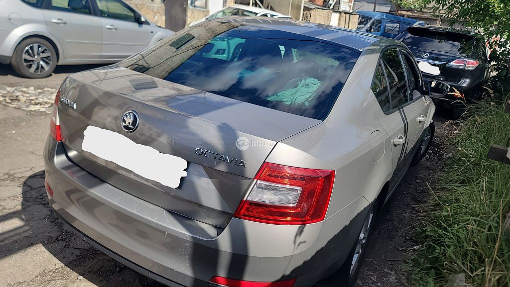 Фото Skoda Octavia 8