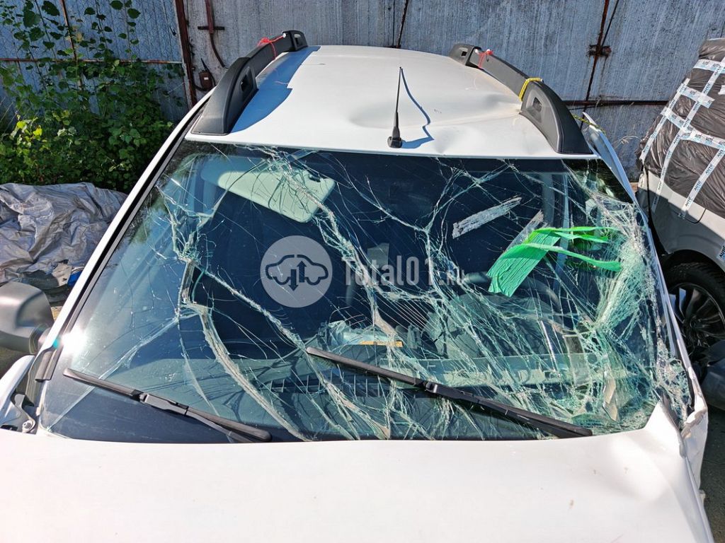 Фото Renault Duster 50