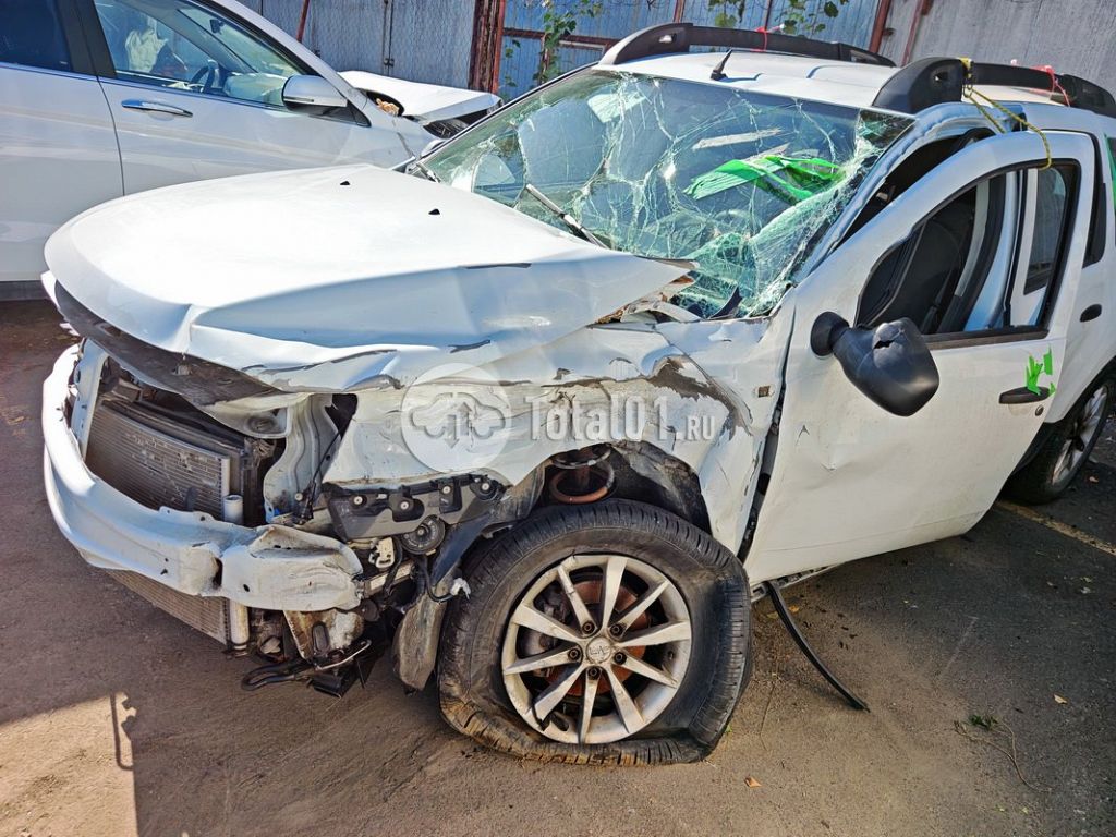 Фото Renault Duster 88