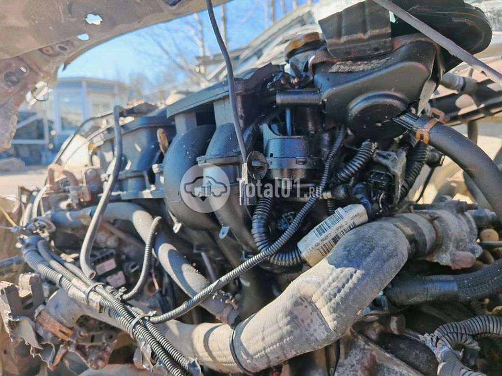 Фото Луидор 220010 30