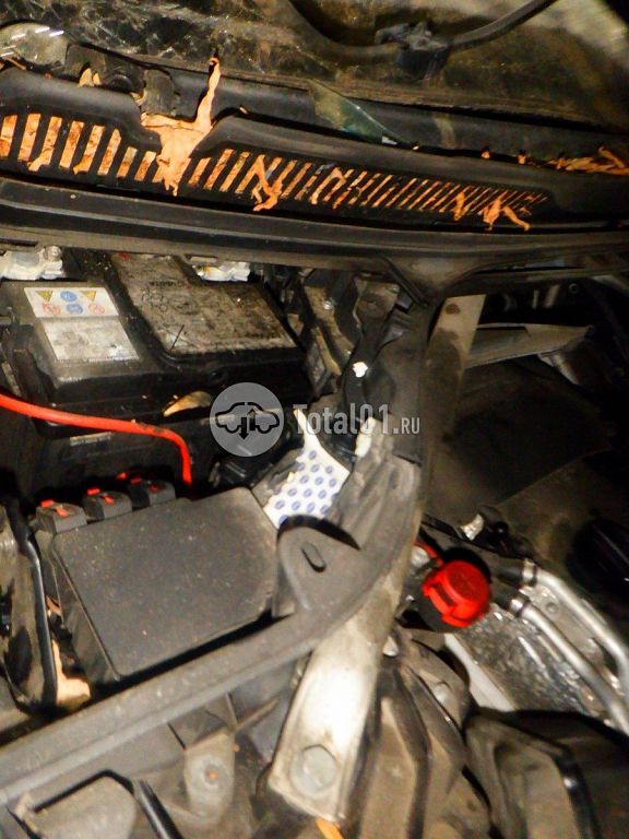 Фото BMW X5 286