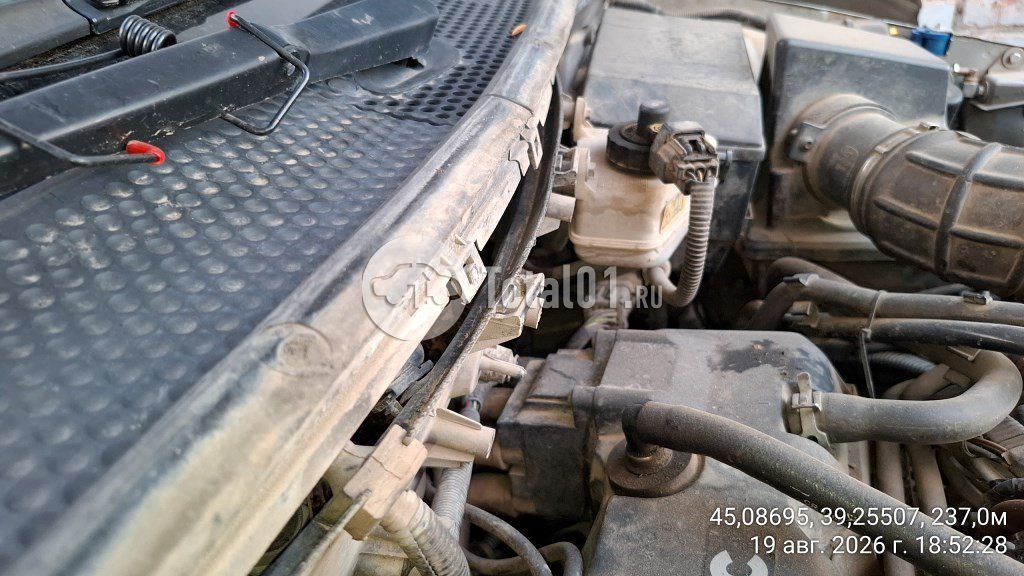Фото Ford Focus 62