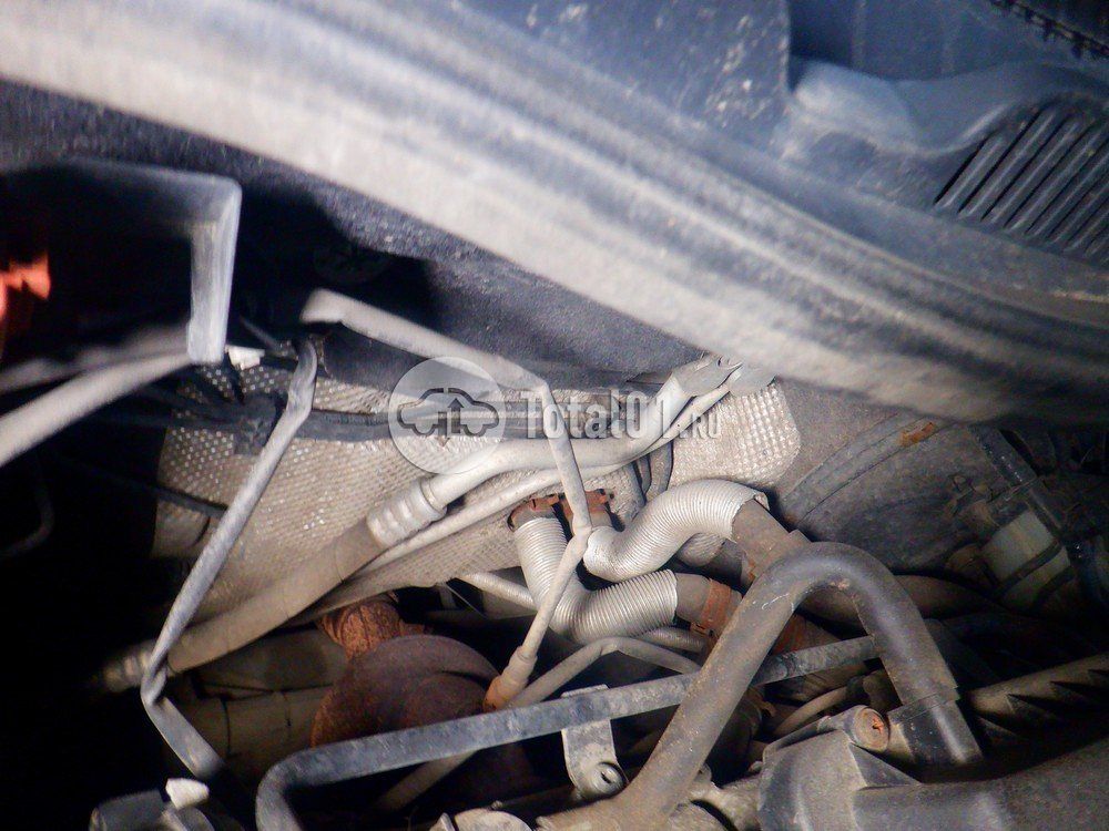 Фото Volkswagen Polo 144