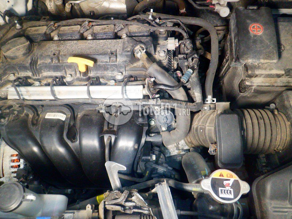 Фото KIA Seltos 180