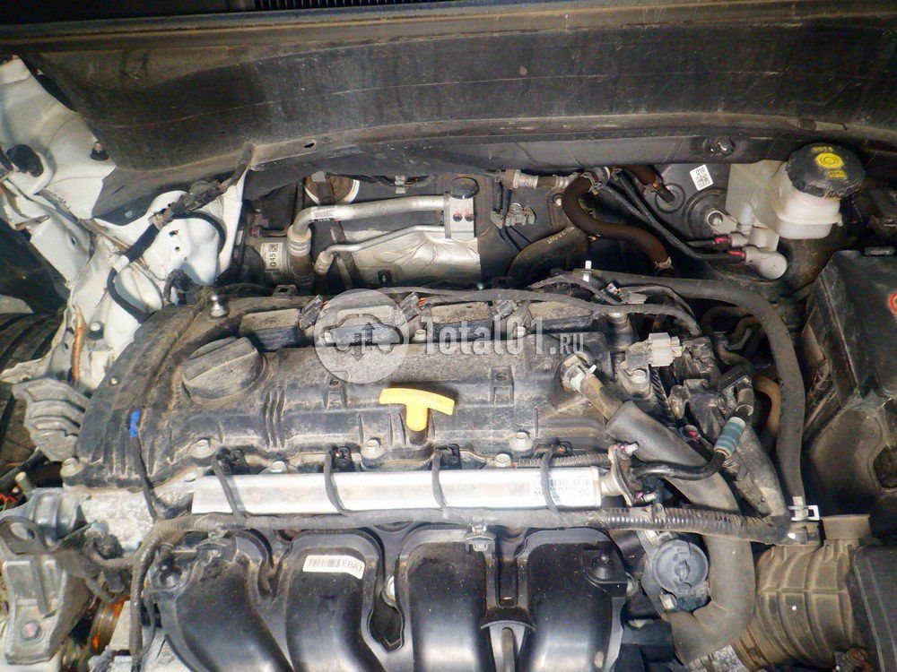 Фото KIA Seltos 182