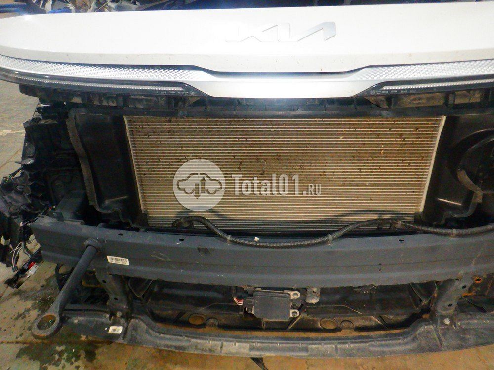 Фото KIA Seltos 198