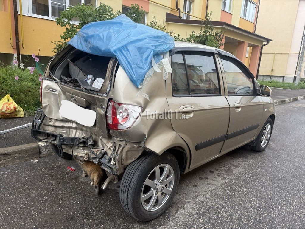 Фото Nissan Другая 6