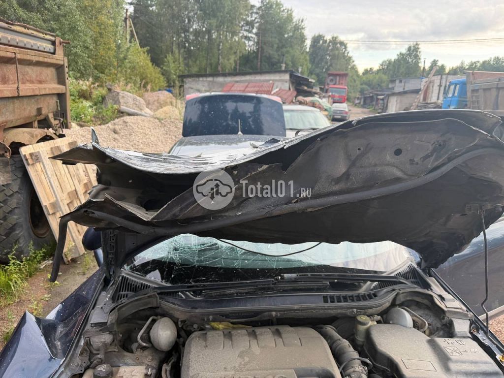 Фото Citroen C5 38