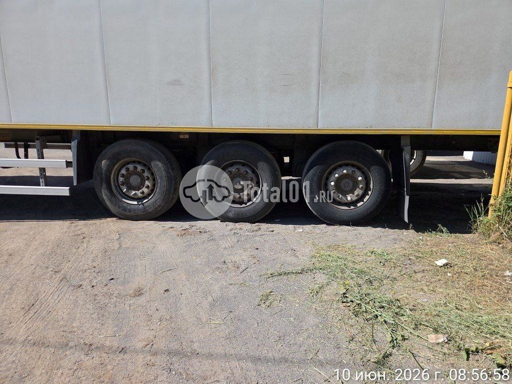 Фото Купава 93W000 164