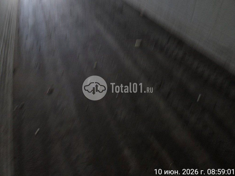 Фото Купава 93W000 176