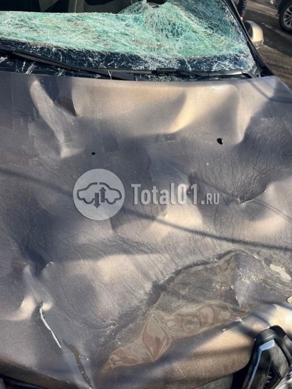 Фото Renault Logan 26